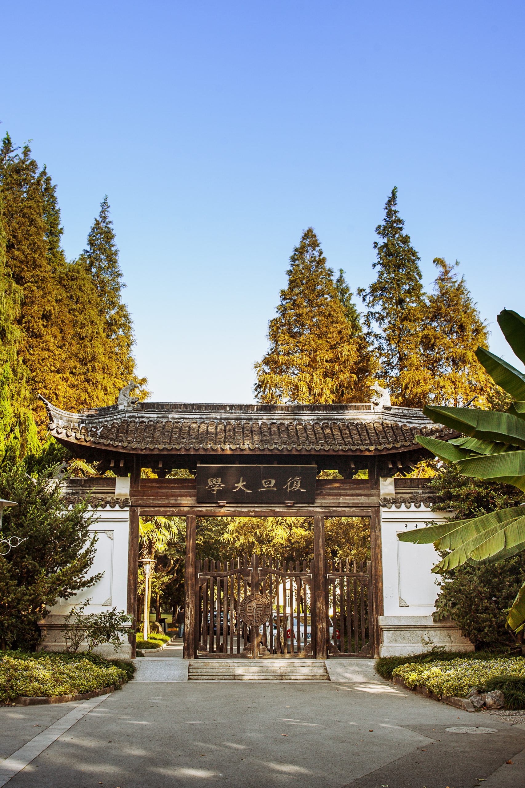 Fudan U_1